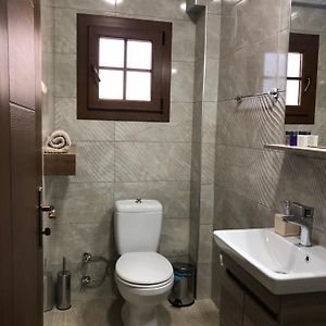 Deluxe Double or Twin Room Mountain View